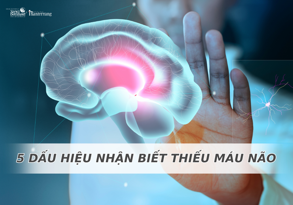 CẢNH BÁO: 5 DẤU HIỆU THIẾU MÁU NÃO DỄ BỎ QUA